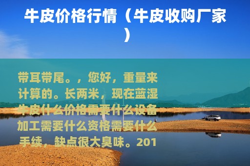 牛皮价格行情（牛皮收购厂家）