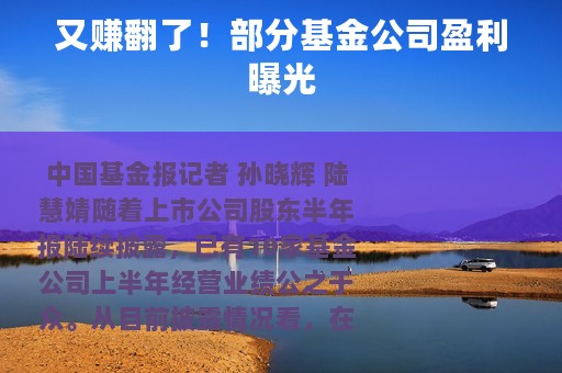又赚翻了！部分基金公司盈利曝光