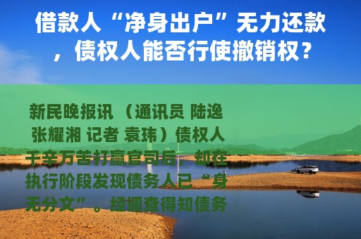 借款人“净身出户”无力还款，债权人能否行使撤销权？