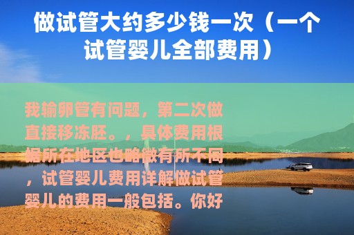 做试管大约多少钱一次（一个试管婴儿全部费用）