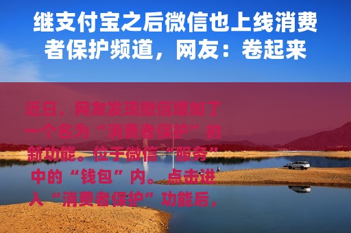 继支付宝之后微信也上线消费者保护频道，网友：卷起来