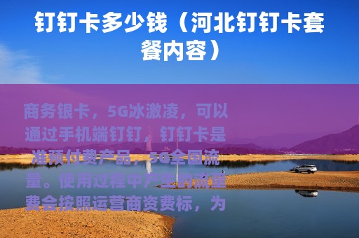 钉钉卡多少钱（河北钉钉卡套餐内容）