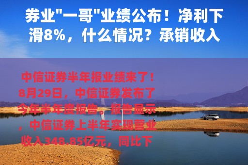 券业