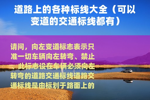 道路上的各种标线大全（可以变道的交通标线都有）