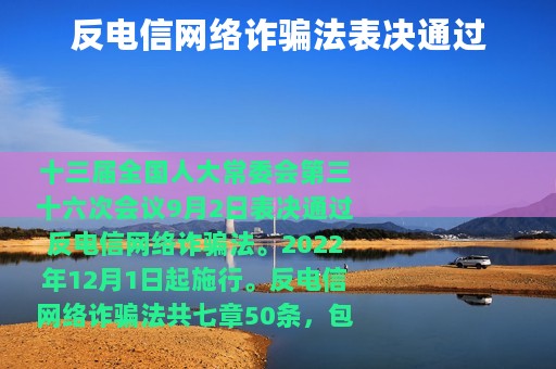 反电信网络诈骗法表决通过