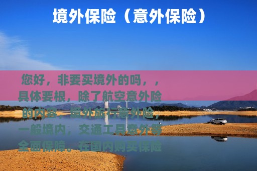 境外保险（意外保险）