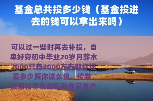 基金总共投多少钱（基金投进去的钱可以拿出来吗）