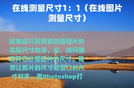 在线测量尺寸1：1（在线图片测量尺寸）