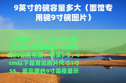 9英寸的碗容量多大（面馆专用碗9寸碗图片）
