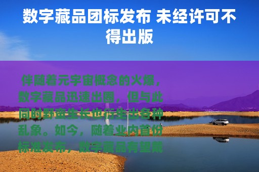 数字藏品团标发布 未经许可不得出版 数字藏品团标发布 未经许可不得出版