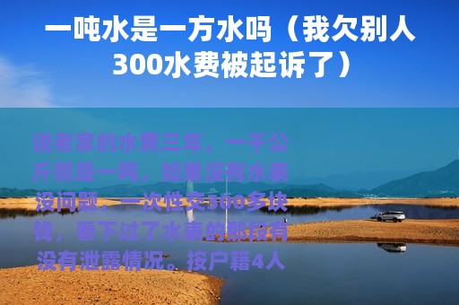 一吨水是一方水吗（我欠别人300水费被起诉了）