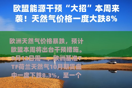 欧盟能源干预“大招”本周来袭！天然气价格一度大跌8%