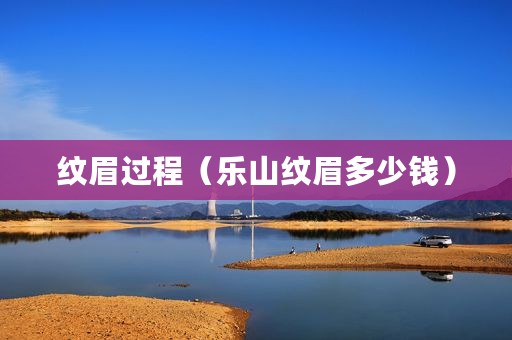 纹眉过程（乐山纹眉多少钱）