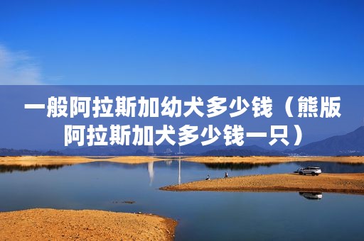 一般阿拉斯加幼犬多少钱（熊版阿拉斯加犬多少钱一只）