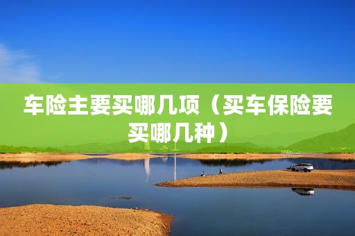 车险主要买哪几项（买车保险要买哪几种）