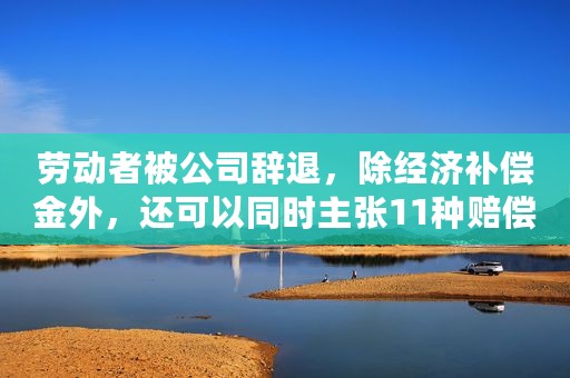劳动者被公司辞退，除经济补偿金外，还可以同时主张11种赔偿项目