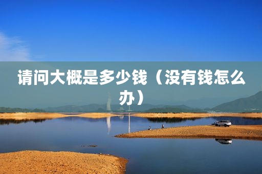 请问大概是多少钱（没有钱怎么办）