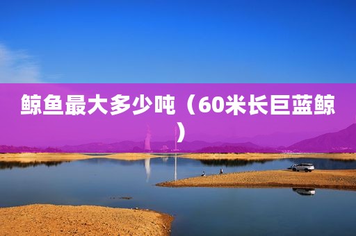 鲸鱼最大多少吨（60米长巨蓝鲸）
