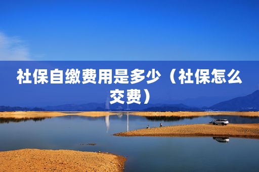 社保自缴费用是多少（社保怎么交费）