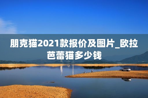 朋克猫2021款报价及图片_欧拉芭蕾猫多少钱