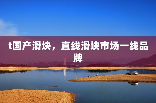 t国产滑块，直线滑块市场一线品牌