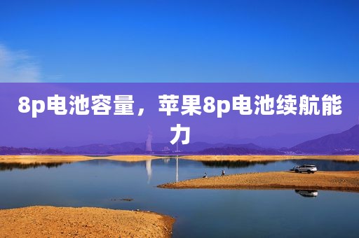 8p电池容量，苹果8p电池续航能力