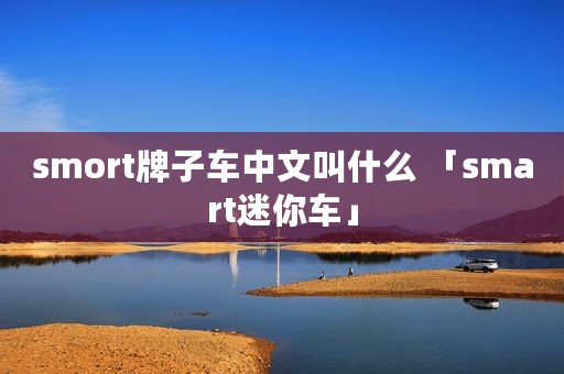 smort牌子车中文叫什么 「smart迷你车」
