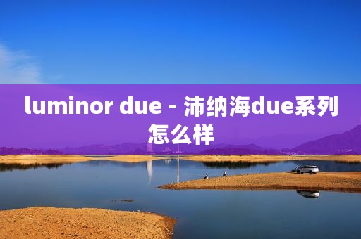 luminor due - 沛纳海due系列怎么样