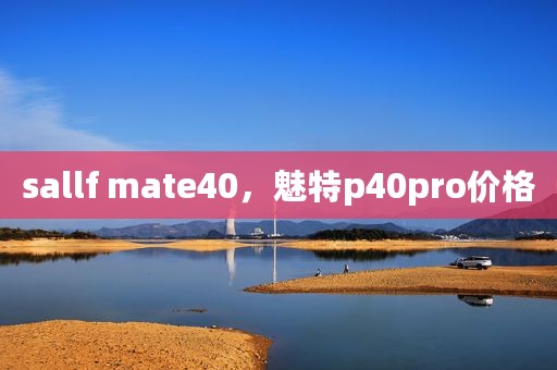 sallf mate40，魅特p40pro价格