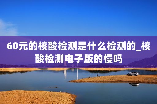 60元的核酸检测是什么检测的_核酸检测电子版的慢吗