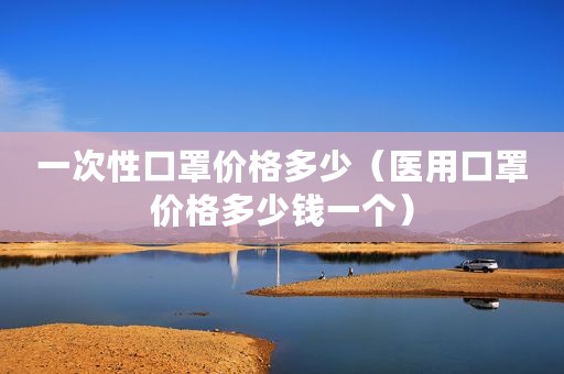 一次性口罩价格多少（医用口罩价格多少钱一个）