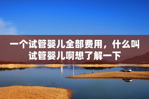一个试管婴儿全部费用，什么叫试管婴儿啊想了解一下