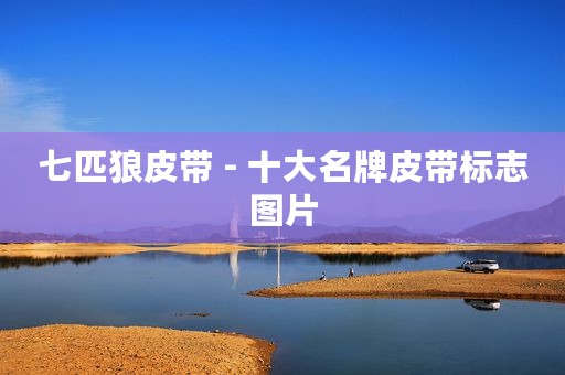 七匹狼皮带 - 十大名牌皮带标志图片