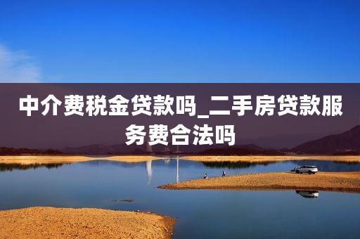 中介费税金贷款吗_二手房贷款服务费合法吗