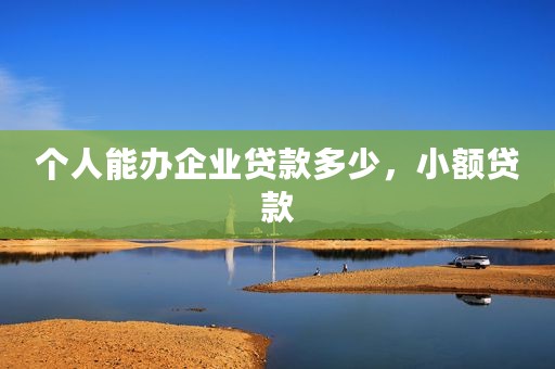 个人能办企业贷款多少，小额贷款