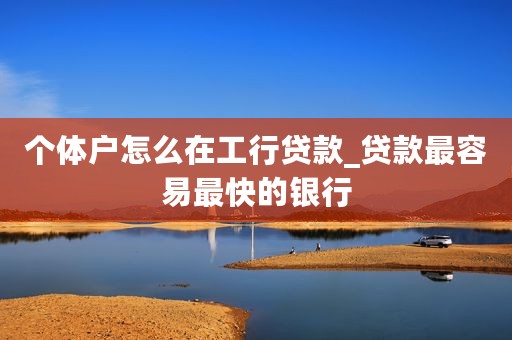 个体户怎么在工行贷款_贷款最容易最快的银行