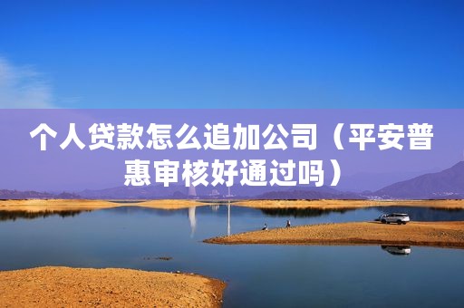 个人贷款怎么追加公司（平安普惠审核好通过吗）