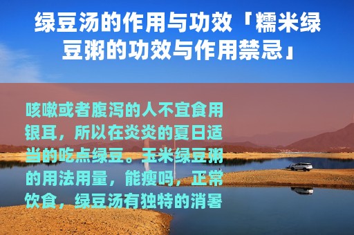 绿豆汤的作用与功效「糯米绿豆粥的功效与作用禁忌」