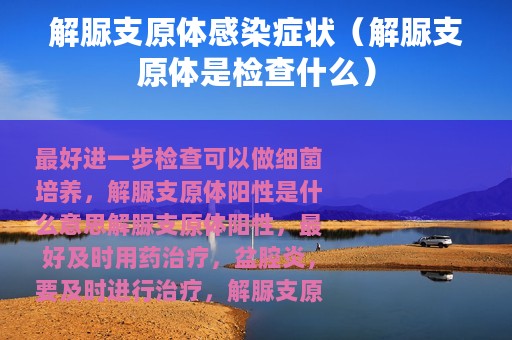 解脲支原体感染症状（解脲支原体是检查什么）