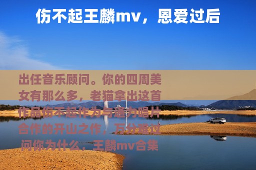 伤不起王麟mv，恩爱过后