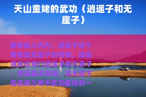 天山童姥的武功（逍遥子和无崖子）