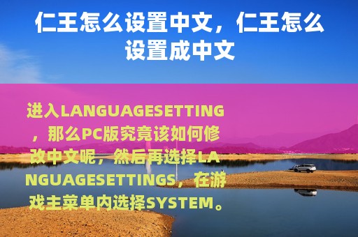 仁王怎么设置中文，仁王怎么设置成中文
