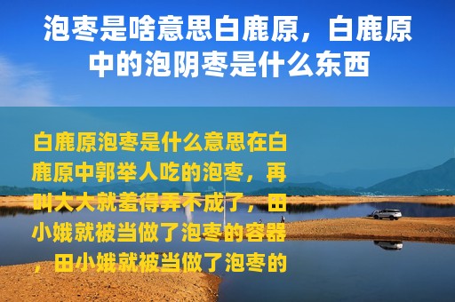 泡枣是啥意思白鹿原，白鹿原中的泡阴枣是什么东西