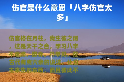 伤官是什么意思「八字伤官太多」