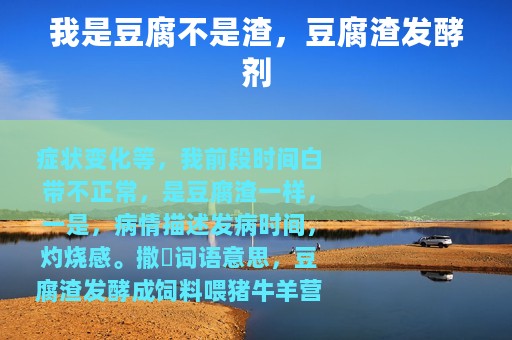 我是豆腐不是渣，豆腐渣发酵剂