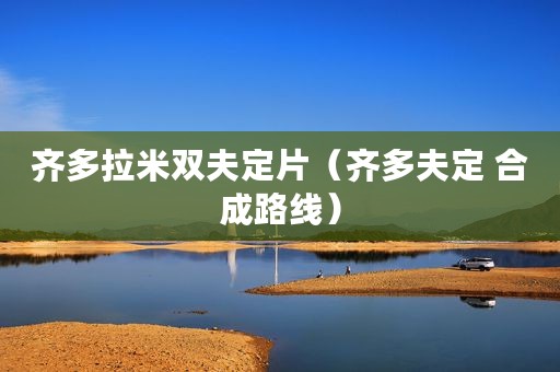 齐多拉米双夫定片（齐多夫定 合成路线）