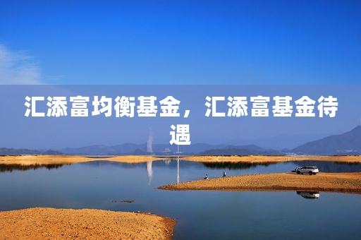 汇添富均衡基金，汇添富基金待遇