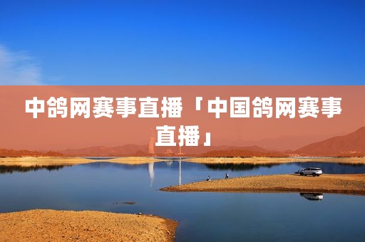 中鸽网赛事直播「中国鸽网赛事直播」