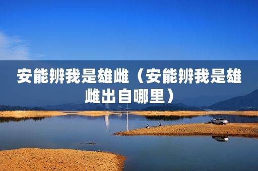 安能辨我是雄雌（安能辨我是雄雌出自哪里）