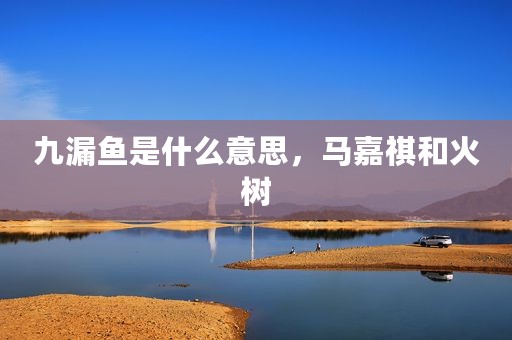 九漏鱼是什么意思，马嘉祺和火树